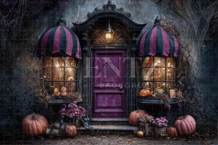 Fabric Photography Background Halloween Facade / Backdrop 7616 