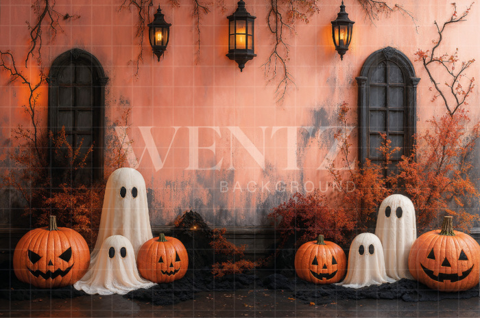 Fabric Photography Background Halloween Ghosts / Backdrop 7648