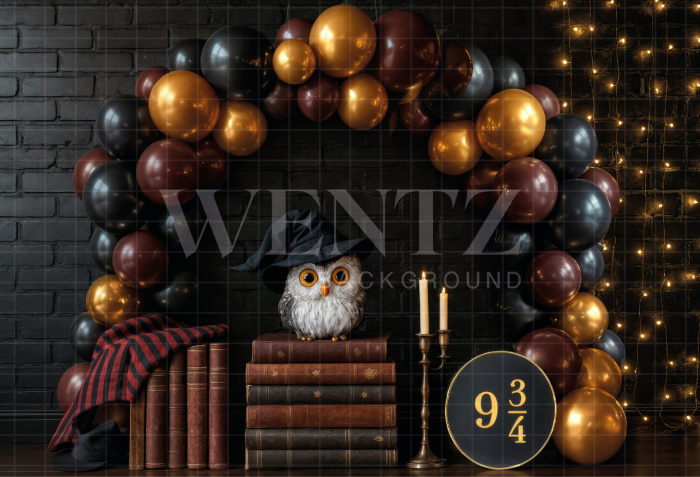 Fabric Photography Background Balloon Arch Scenario / Backdrop 7087