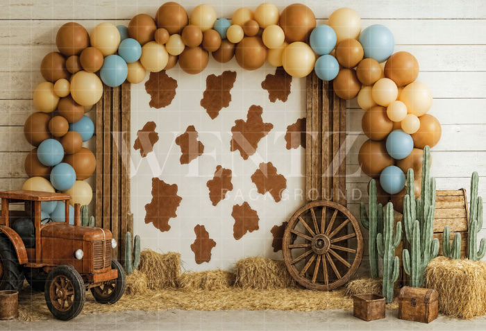 Fabric Photography Background with Balloons / Backdrop 7101