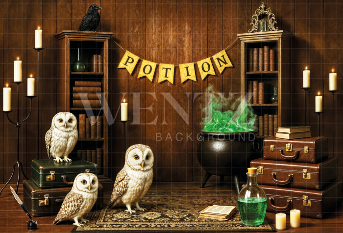Fabric Photography Background Children's Magic Potion / Backdrop 7155