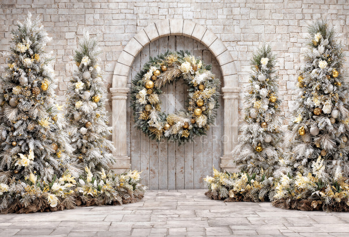 Fabric Photography Background Christmas Facade / Backdrop 7438