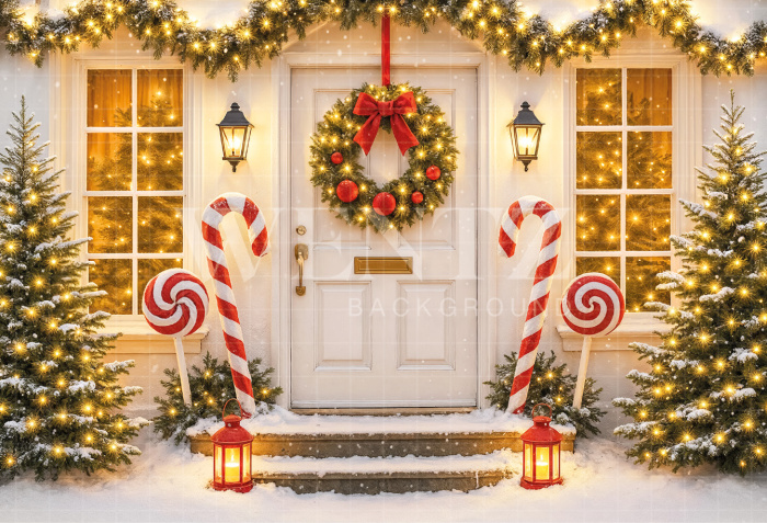 Fabric Photography Background Christmas Door / Backdrop 7473