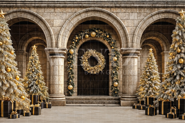 Fabric Photography Background Christmas Facade / Backdrop 7532