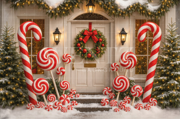 Fabric Photography Background Christmas Door / Backdrop 7542