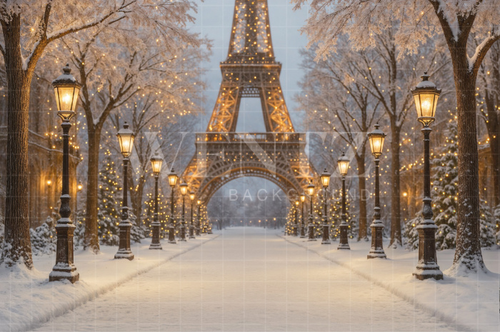Fabric Photography Background Winter in Paris / Backdrop 7564