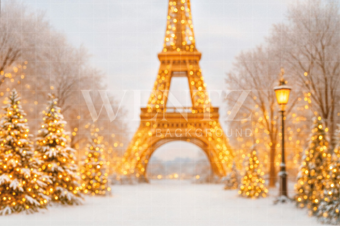 Fabric Photography Background Winter in Paris / Backdrop 7574
