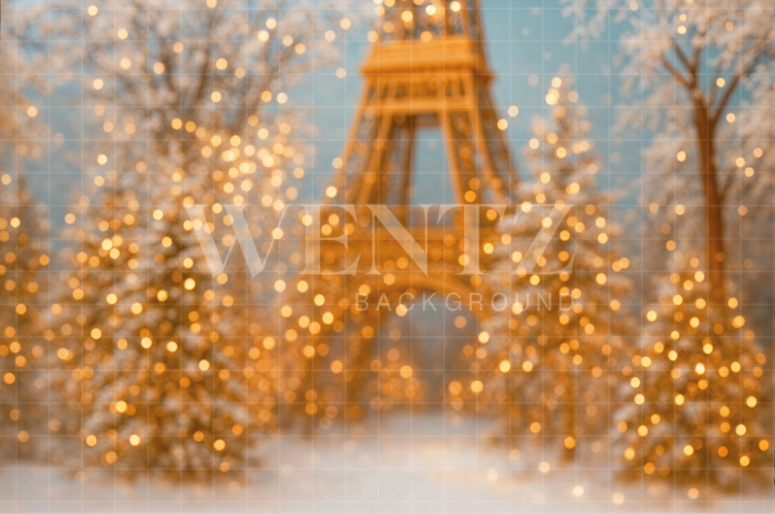 Fabric Photography Background Winter in Paris / Backdrop 7580