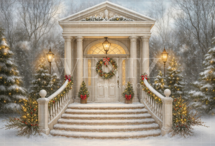 Fabric Photography Background Christmas Facade / Backdrop 7398