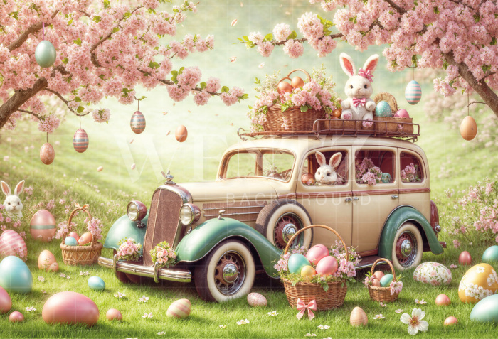 Fabric Photography Background Easter Car / Backdrop 6747