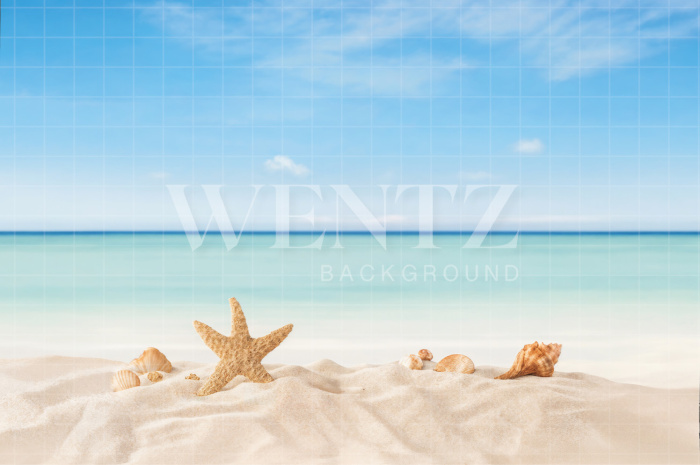Fabric Photography Background Summer Beach / Backdrop 7905