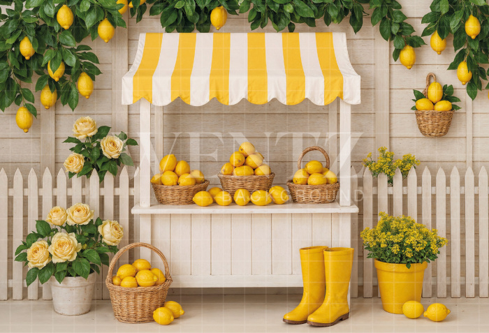 Fabric Photography Background Summer Lemons Stand / Backdrop 7911