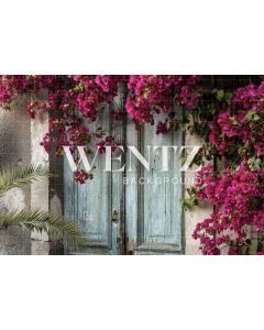 Photography Background in Fabric Florida Door / Backdrop 1259
