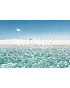 Photography Background in Fabric Beach and Sea / Backdrop 1649