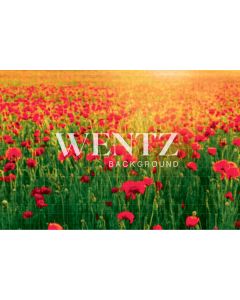 Photography Background in Fabric Poppy Field / Backdrop 1758