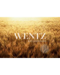 Photography Background in Fabric Wheat Field / Backdrop 1759
