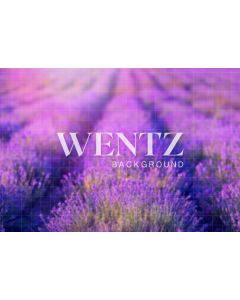  Photography Background in Fabric Lavender Field/ Backdrop 1760