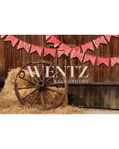 Photography Background in Fabric Country Party / Backdrop 1817