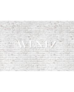 Photography Background in Fabric Wall Bricks / Backdrop 1967