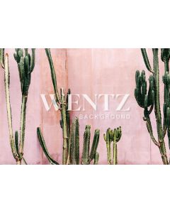 Photography Background in Fabric Cactus Summer / Backdrop 1991