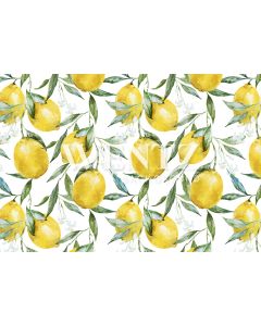 Photography Background in Fabric Summer Lemon / Backdrop 1997