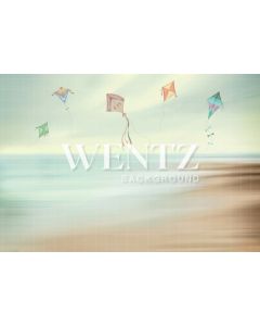 Photography Background in Fabric Beach and Kites Newborn / Backdrop 2012