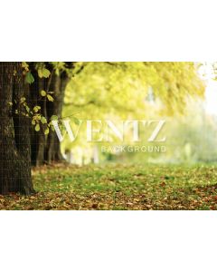 Photography Background in Fabric Scenery Wood with Leaves  / Backdrop 2090