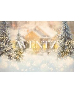 Photography Background in Fabric Christmas / Backdrop 2115