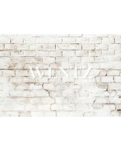 Photography Background in Fabric Bricks / Backdrop 2136