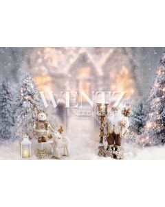 Photography Background in Fabric Christmas Scenario with Santa Claus / Backdrop 2167