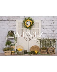 Photography Background in Fabric Sicilian Lemon and Door / Backdrop 2227