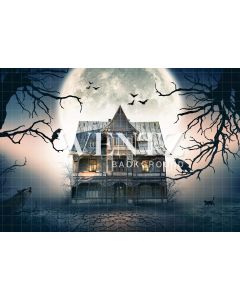Photography Background in Fabric Halloween Haunted House / Backdrop 2355
