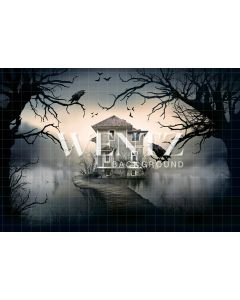 Photography Background in Fabric Halloween Lake House / Backdrop 2356
