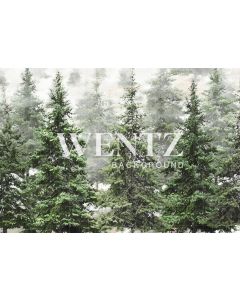 Photography Background in Fabric Pine Forest / Backdrop 2370