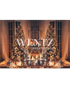 Photography Background in Fabric Christmas Room / Backdrop 2401
