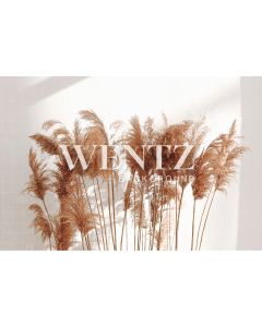 Photography Background in Fabric Pampas Grass / Backdrop 2437