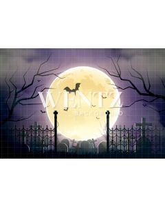 Photography Background in Fabric Halloween Night / Backdrop 2458