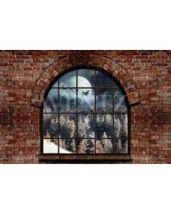 Photography Background in Fabric Christmas Window / Backdrop 2498