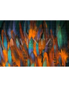 Photography Background in Fabric Colorful Carnival Feathers / Backdrop 2572