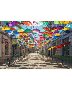 Photography Background in Fabric Street Carnival / Backdrop 2575