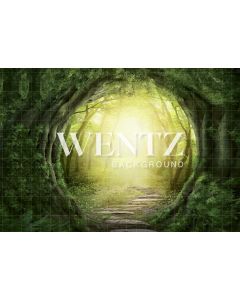 Photography Background in Fabric Forest / Backdrop 275