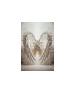 Photography Background in Fabric Wings / Backdrop 3495