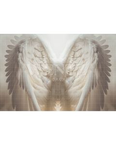 Photography Background in Fabric Wings / Backdrop 3495