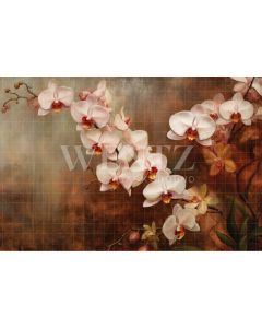 Photography Background in Fabric Orchids / Backdrop 3562