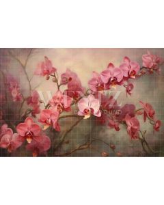 Photography Background in Fabric Pink Orchids / Backdrop 3564