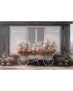 Photography Background in Fabric Flower Cart / Backdrop 3579