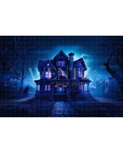 Photography Background in Fabric Haunted Mansion / Backdrop 3687