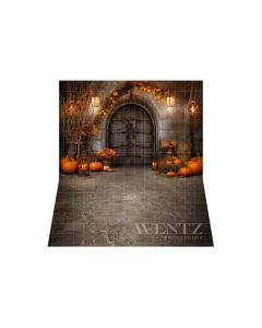 Photography Background in Fabric Halloween Rustic Door / Backdrop 3723