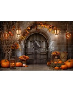 Photography Background in Fabric Halloween Rustic Door / Backdrop 3723