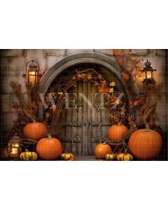 Photography Background in Fabric Halloween Rustic Door / Backdrop 3725
